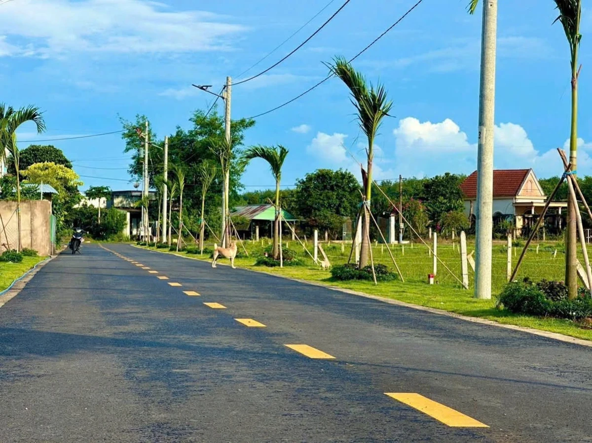 Bán đất 225m² (100m² thổ cư) KDC Minh Thạnh, TP.HCM, giá 545 triệu - Ảnh thu nhỏ 3