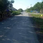 Bán đất thổ cư và lúa mặt tiền đường đê 1907m² Tân Thành - Ảnh thu nhỏ 2