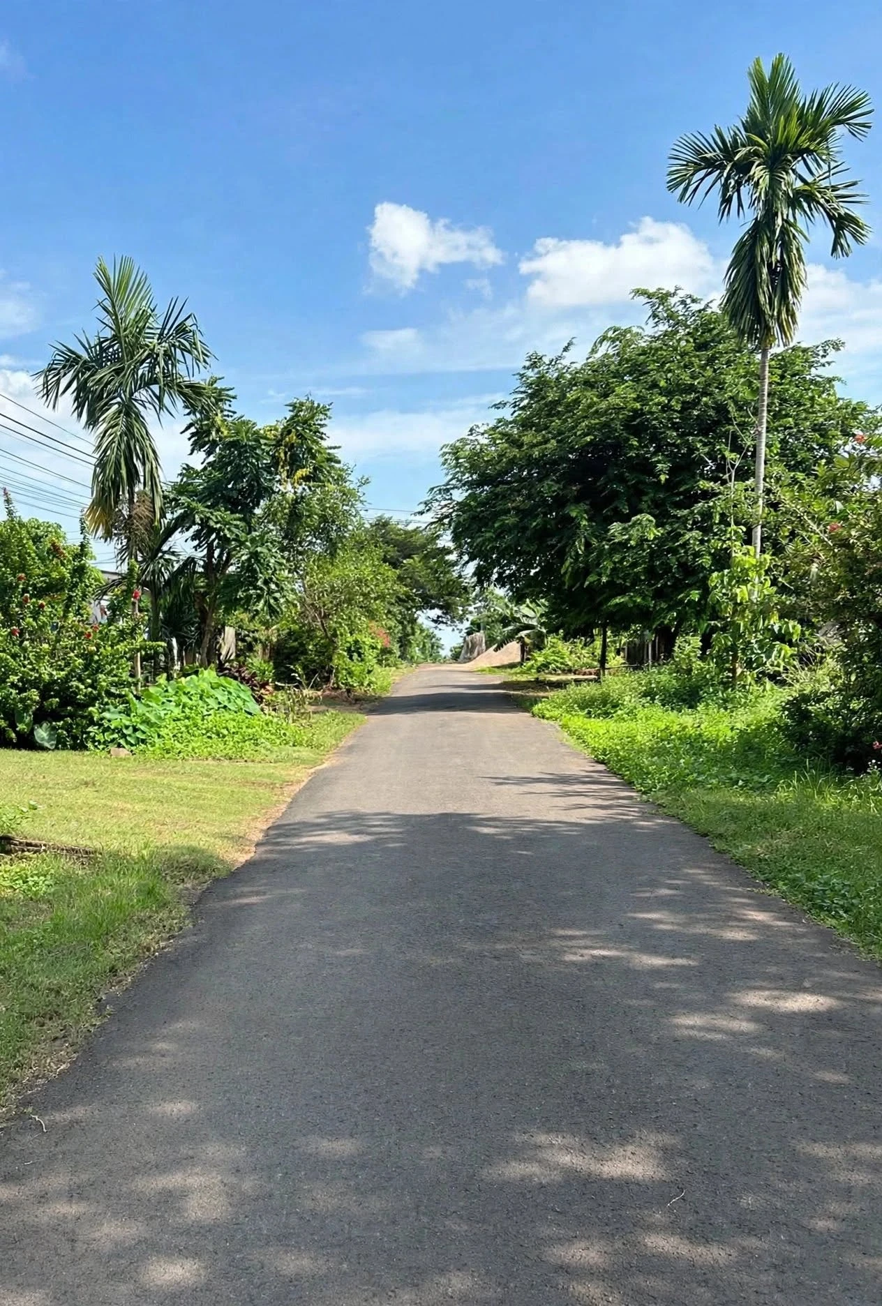 Bán đất Buôn Huê, Ea Kao, Buôn Ma Thuột 600m2, khu homestay, 700 triệu/bìa - Ảnh 1