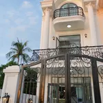 Bán biệt thự 3PN Đồng Cát Bình Tân 2,99 tỷ - Ảnh thu nhỏ 3