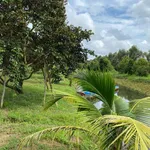 Bán vườn 37.000m² Kiên Giang, sổ hồng, 3.5 tỷ - Ảnh thu nhỏ 2