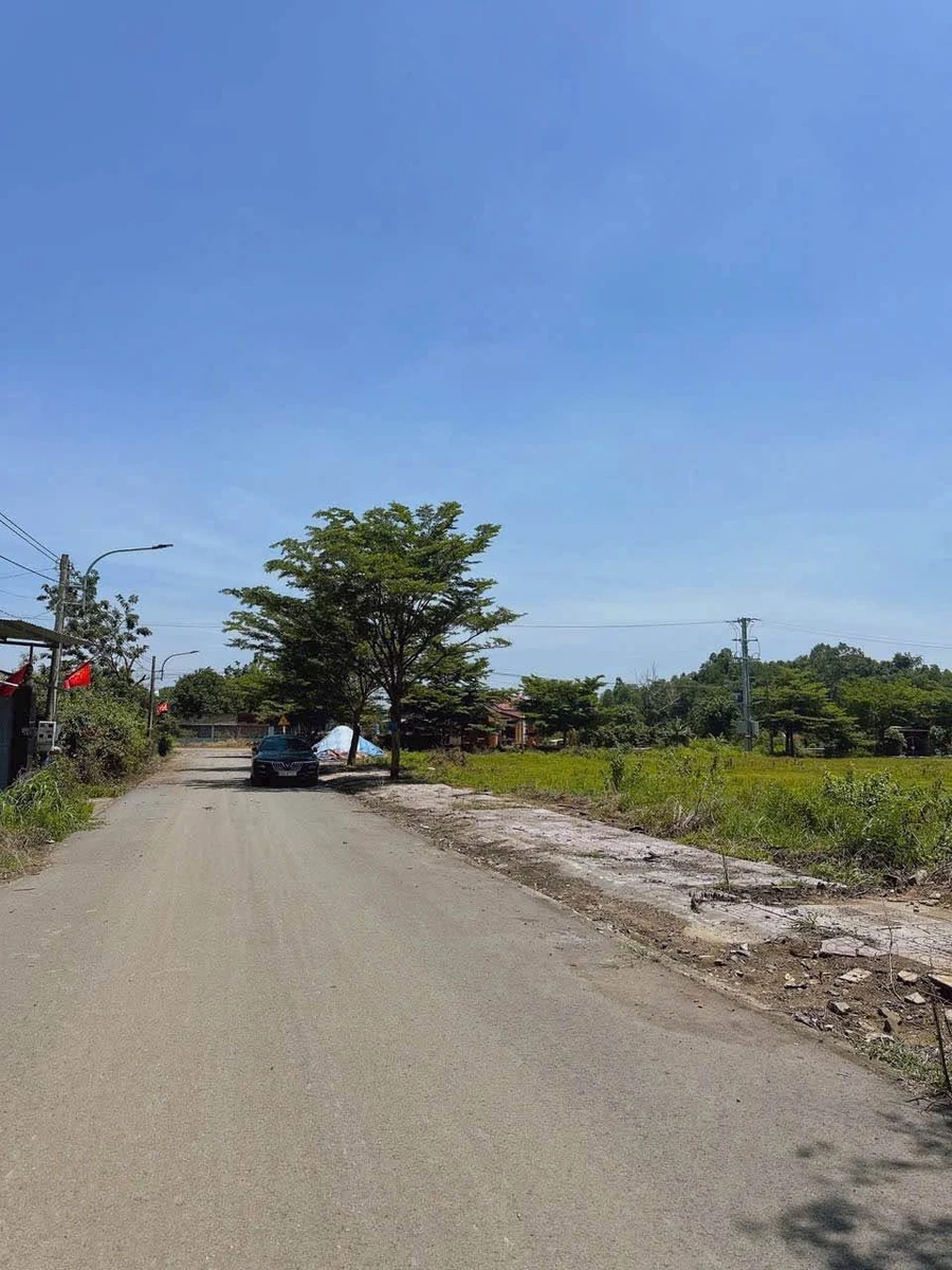 Bán đất Châu Pha mặt tiền đường nhựa 14,500m² giá 920 triệu - Ảnh thu nhỏ 5