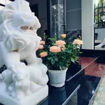 Bán nhà mái thái 8x23 (185m2) Hòa Long, Bà Rịa 2,85 tỷ - Ảnh thu nhỏ 2