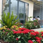 Bán nhà vườn 2 PN tại Bình Lục, Tây Ninh, 450m2, 2 tỷ 290 triệu - Ảnh thu nhỏ 2