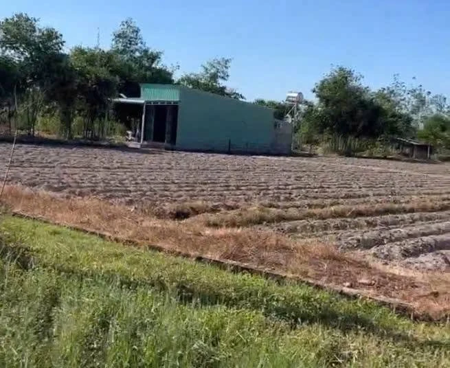 Bán đất xây trọ, nhà vườn 4350m² Tây Ninh 4,3 tỷ - Ảnh thu nhỏ 4