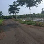 Bán đất thổ cư 100m2 Dầu Giây, Đồng Nai giá 1 tỷ 500 triệu - Ảnh thu nhỏ 2
