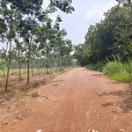 Bán gấp 2ha đất Ấp 2 Tiến Hưng, Đồng Nai - Ảnh thu nhỏ 2