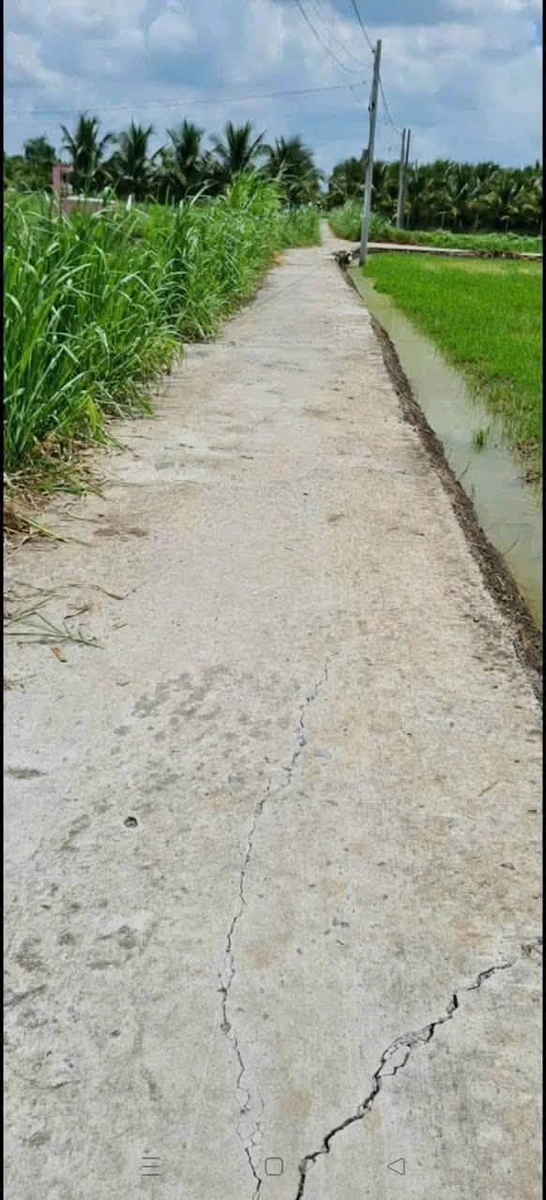 Bán đất lúa có thổ cư 897m² Cần Giờ, giá 1 tỷ 6 - Ảnh thu nhỏ 3