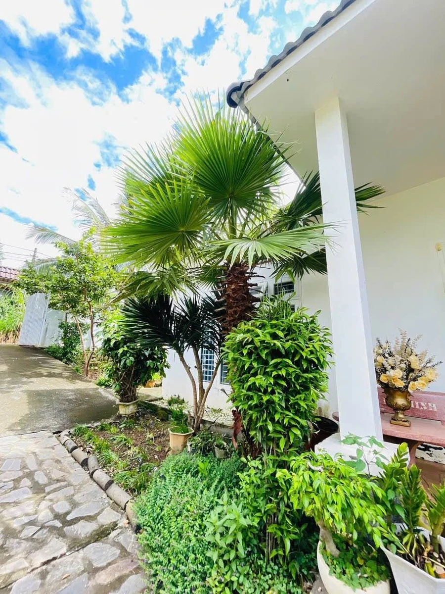 Nhà vườn mái Nhật Tạ Quang Bửu, 200m², 4PN, 5.6 tỷ - Ảnh thu nhỏ 4