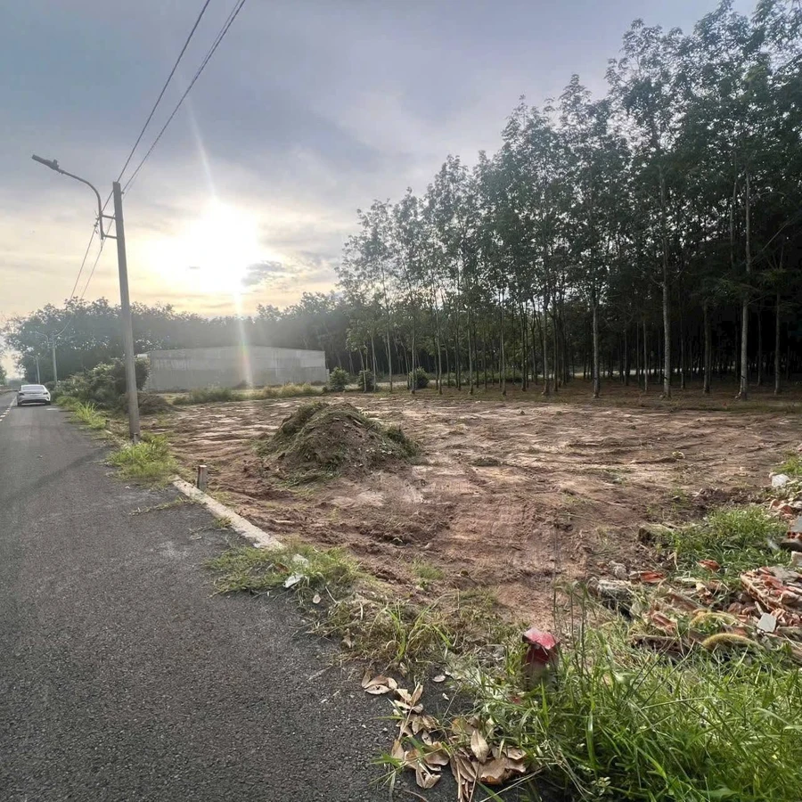 Bán đất Hòa Lợi 100m² giá 700 triệu - Ảnh 1