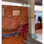 Bán nhà đất 224m² 2 mặt tiền Phan Đăng Lưu, Đất Đỏ - Ảnh thu nhỏ 2