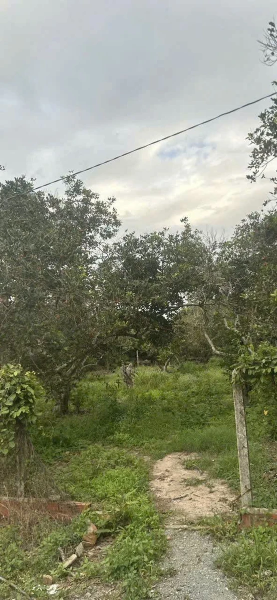Bán đất 50m² Phường Ninh Thạnh, Tây Ninh 550 triệu - Ảnh 1