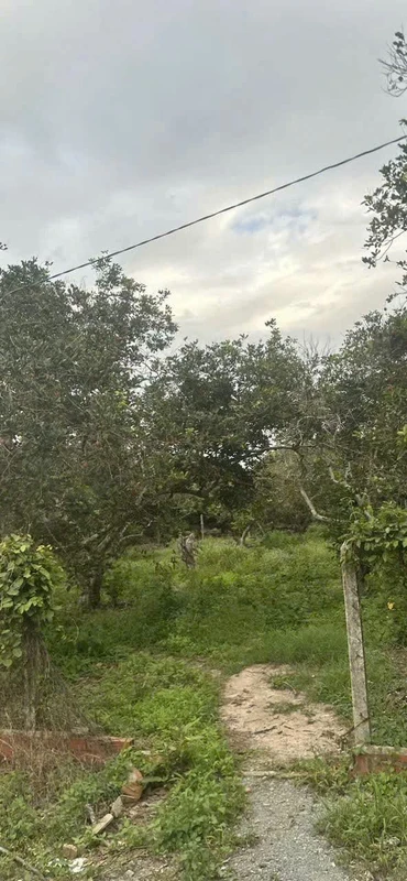 Bán đất 50m² Phường Ninh Thạnh, Tây Ninh 550 triệu