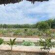 Chính chủ bán tổng 5.000m2 đất Long Nguyên Bàu Bàng. LH ngay 0989 288 *** - Ảnh thu nhỏ 8