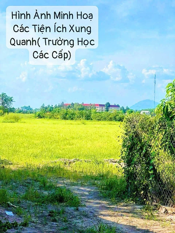Bán đất 10.844m2 hai mặt tiền đường tại xã Long Khánh, Bến Cầu, Tây Ninh