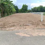 Bán đất mặt tiền Trường Đông, Quận 12, 2 thửa liền kề - Ảnh thu nhỏ 2