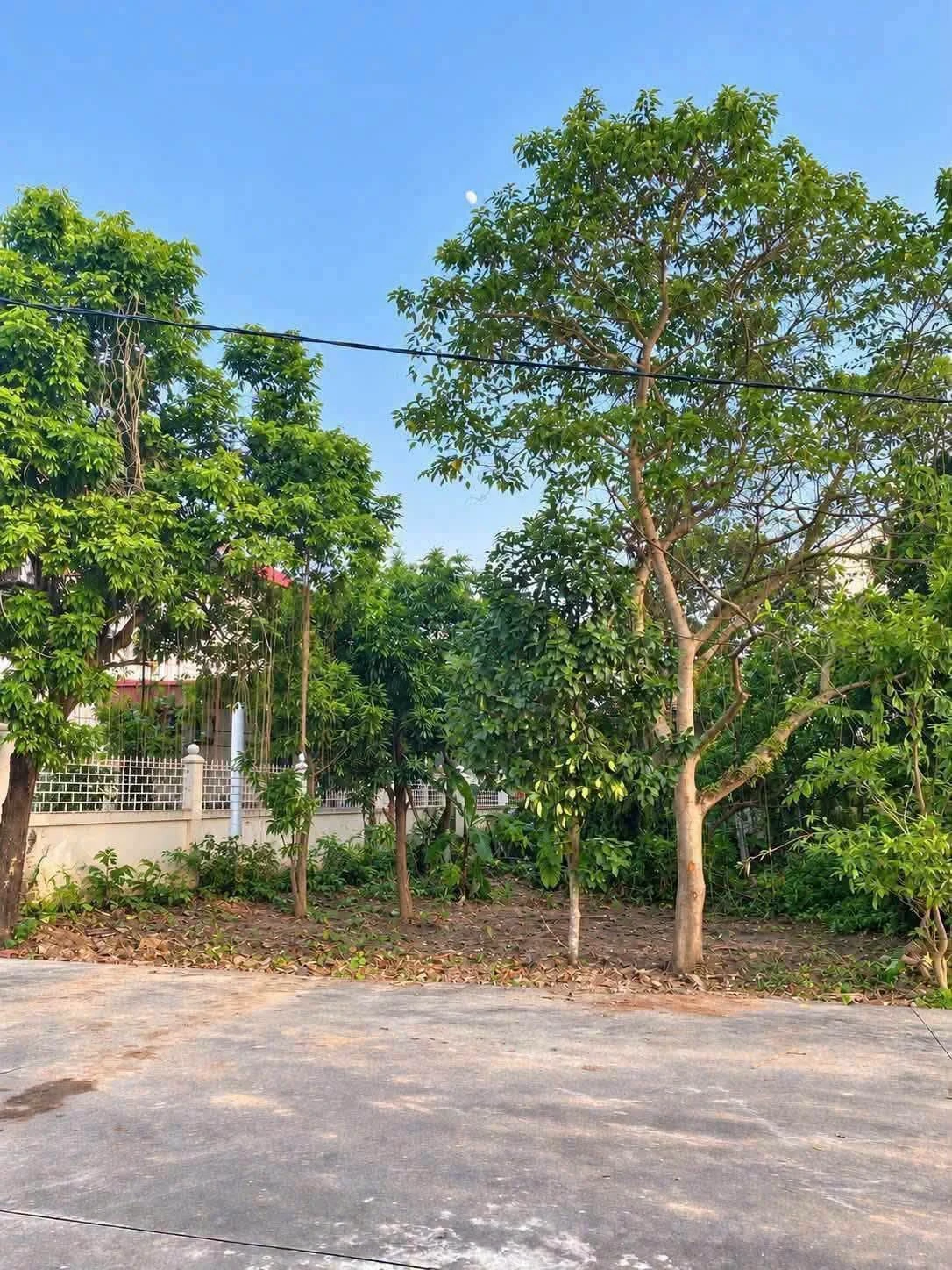 Bán đất phố Trần Hưng Đạo, Hải Phòng, 330m2, 3 tỷ - Ảnh 1