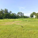 Bán lô đất cây trồng 3000m² Lâm Đồng mặt tiền bê tông - Ảnh thu nhỏ 5