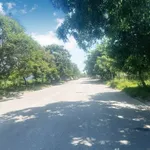 Bán lô đất 100m² mặt tiền 5m khu An Hưng - Ảnh thu nhỏ 2