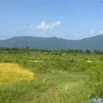 Bán đất cây trồng 3 sào tại Hàm Phú, Hàm Thuận Bắc - Ảnh thu nhỏ 3
