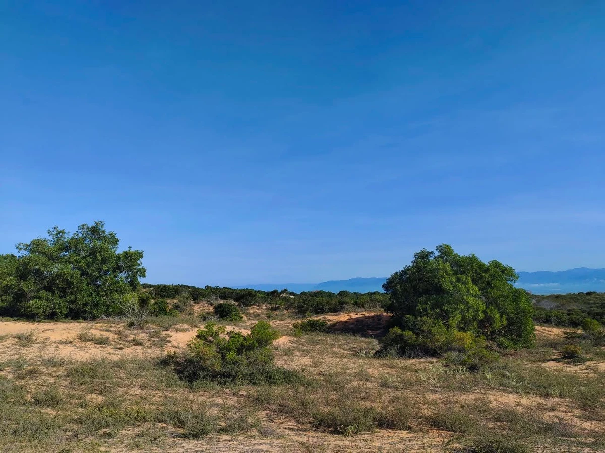 Bán đất 2,5ha view biển & điện gió Phan Rí Thành, Bình Thuận - Ảnh thu nhỏ 2