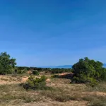 Bán đất 2,5ha view biển & điện gió Phan Rí Thành, Bình Thuận - Ảnh thu nhỏ 2