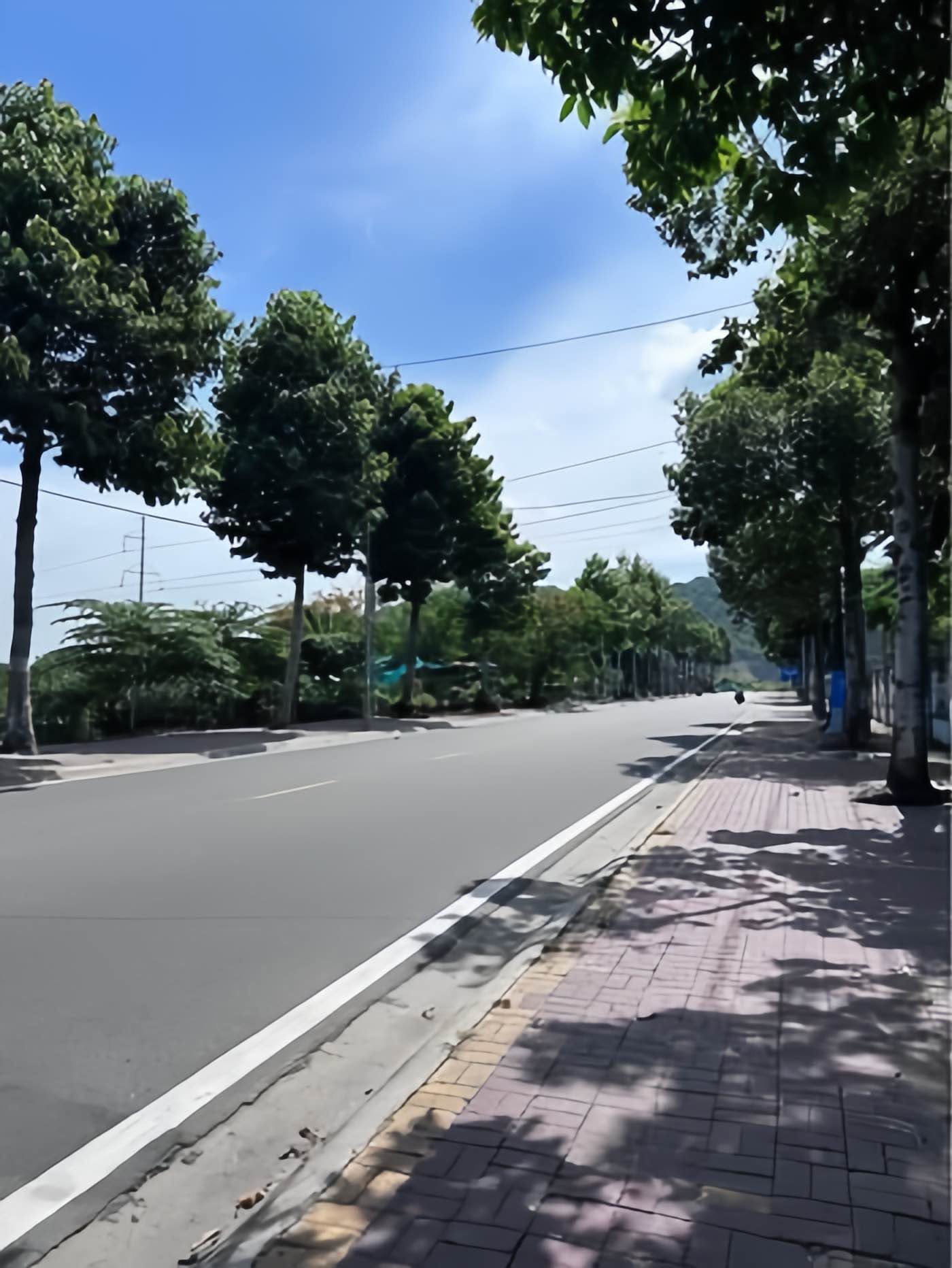 Bán đất mặt tiền 600m² Phường Long Hương - Ảnh thu nhỏ 2