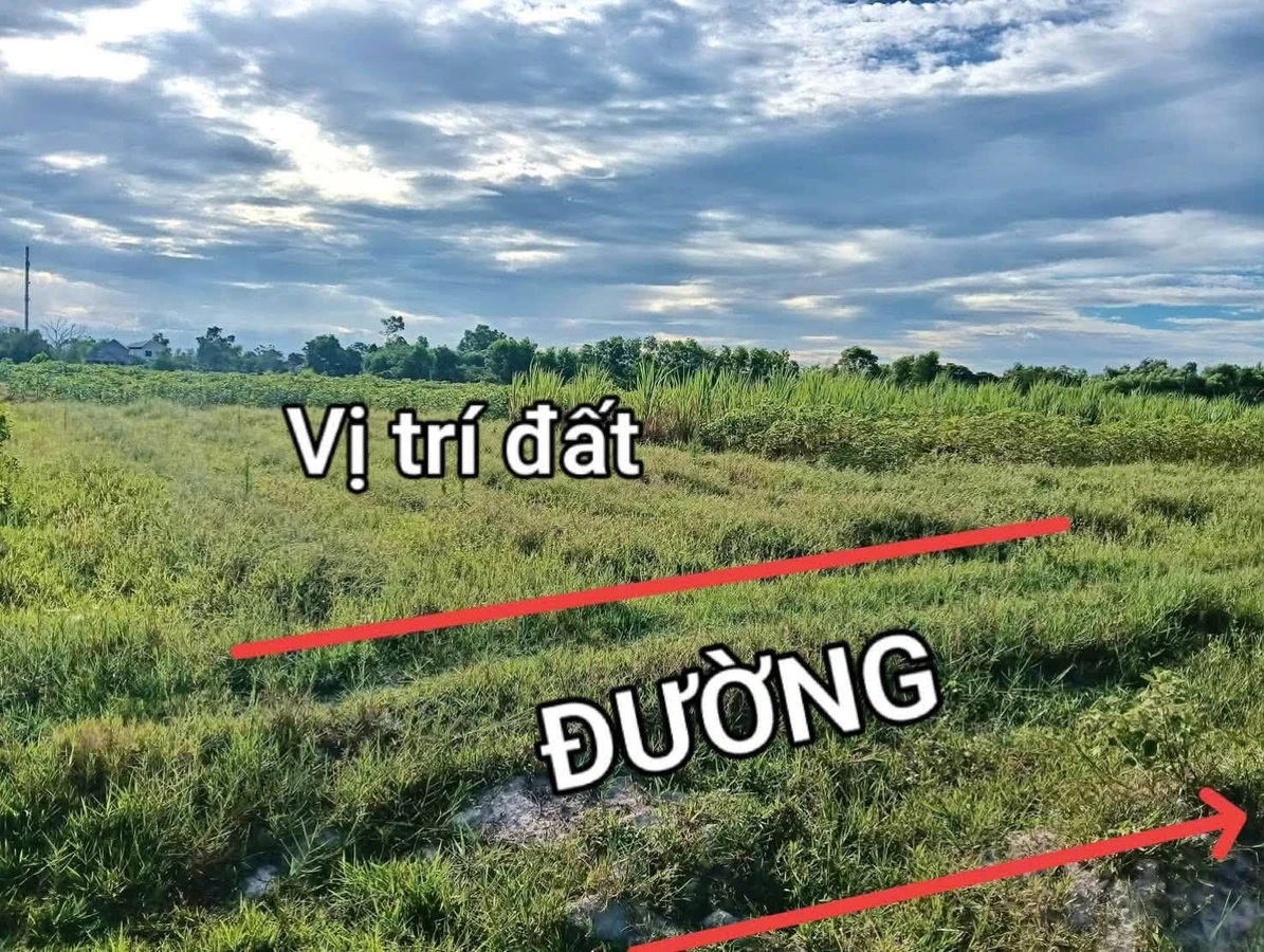Bán lô đất trồng cây 336m2 cạnh KCN Phong Điền, Huế, giá 59 triệu - Ảnh thu nhỏ 3