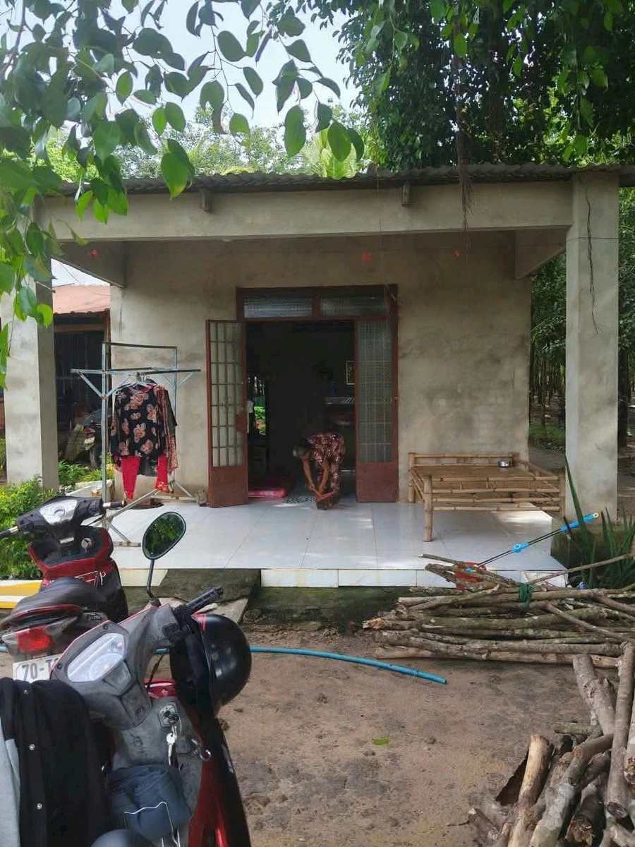 Bán nhà đất Ấp Thạnh Hưng Tây Ninh 383m² 350 triệu - Ảnh 1