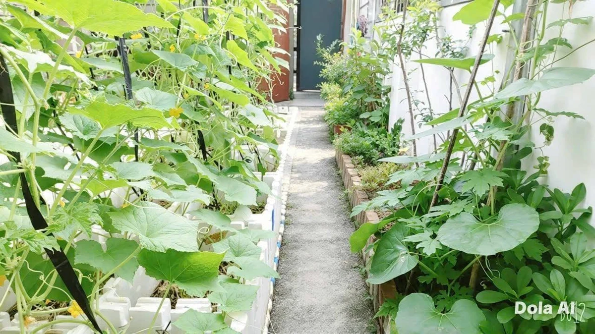 Bán nhà 3PN 72.8m² Đinh Thuận, Đồng Nai 5.3 tỷ - Ảnh thu nhỏ 4