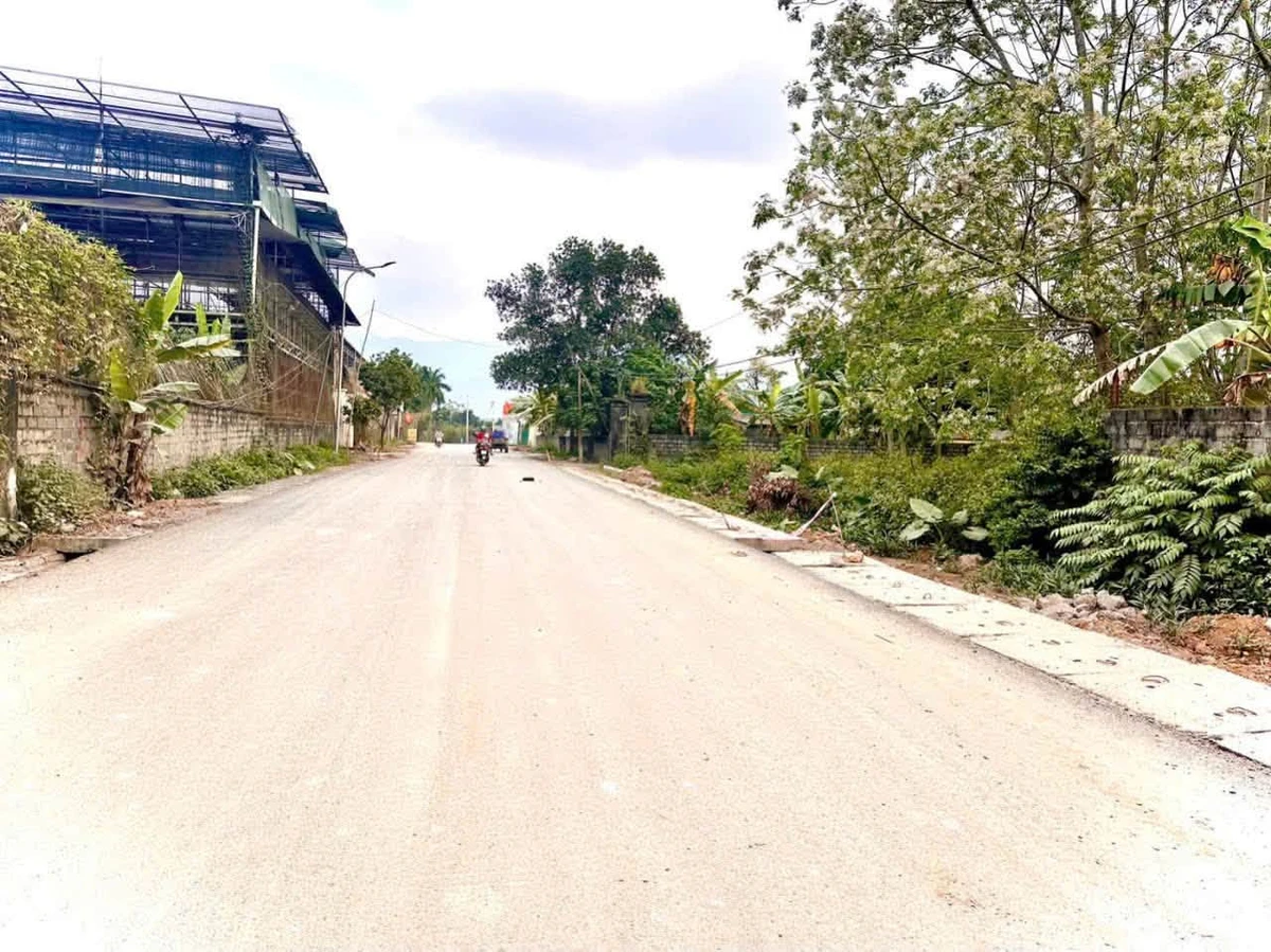 Bán đất 1.680m² mặt tiền 30m gần KCN Nhuận Trạch, Nhà Bè - Ảnh thu nhỏ 2