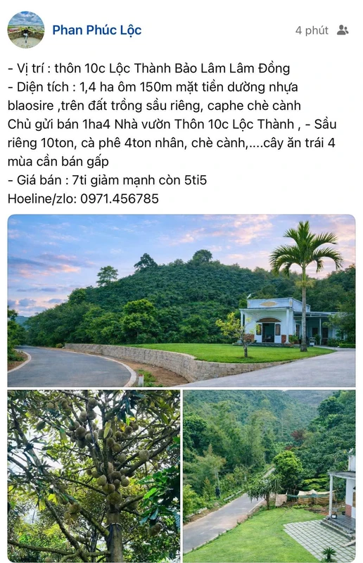 Bán 1,4 ha nhà vườn Bảo Lâm, Lâm Đồng, giá 5 tỷ 5