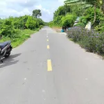 Bán đất mặt tiền đường Bến Đình 2164m2 xã An Nhơn Tây, Củ Chi giá 5 tỷ - Ảnh thu nhỏ 4