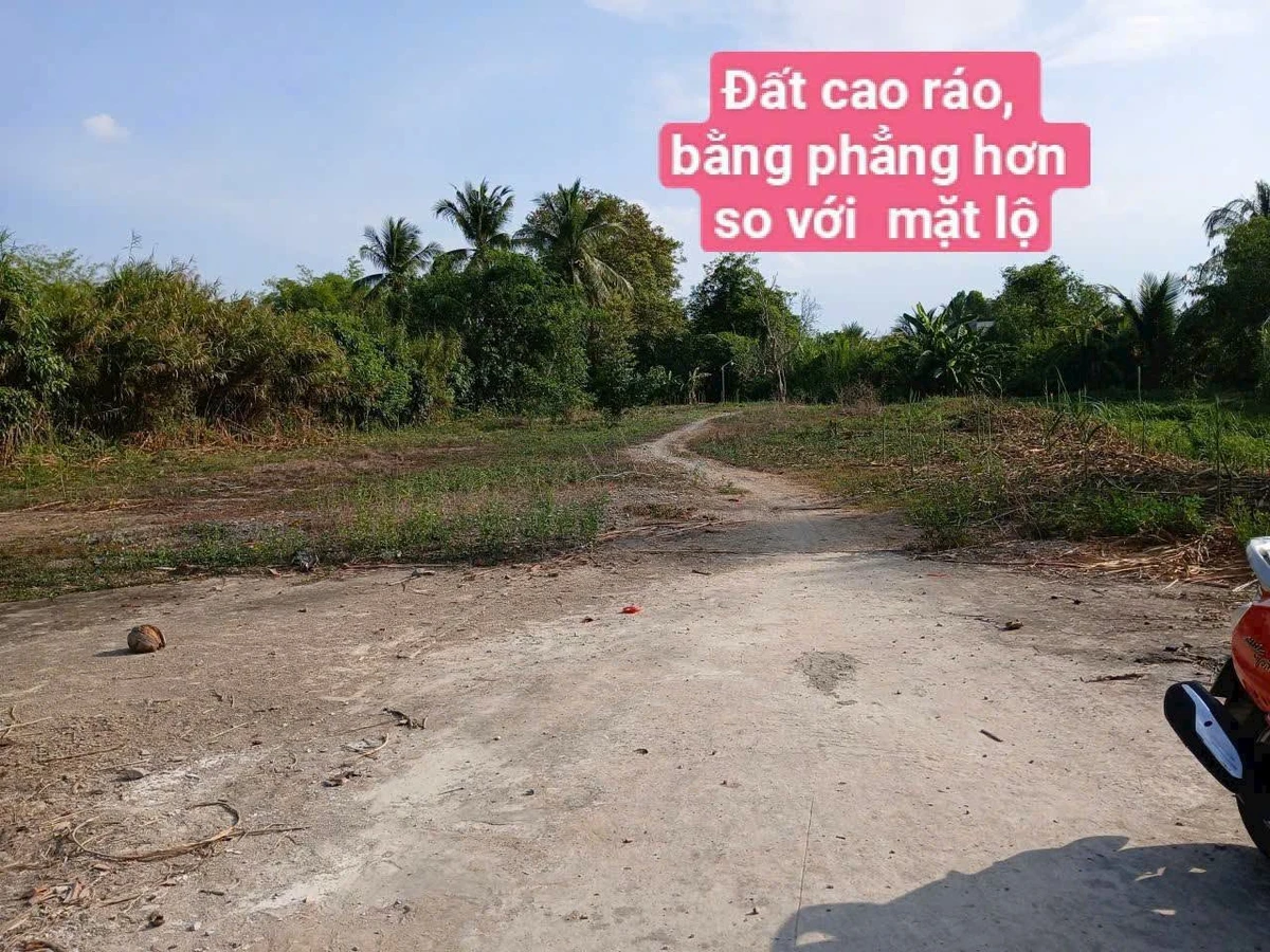 Bán đất 5 công sát KDC Nam Long, Bình Chánh, 3.500m² - Ảnh thu nhỏ 4