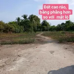 Bán đất 5 công sát KDC Nam Long, Bình Chánh, 3.500m² - Ảnh thu nhỏ 4