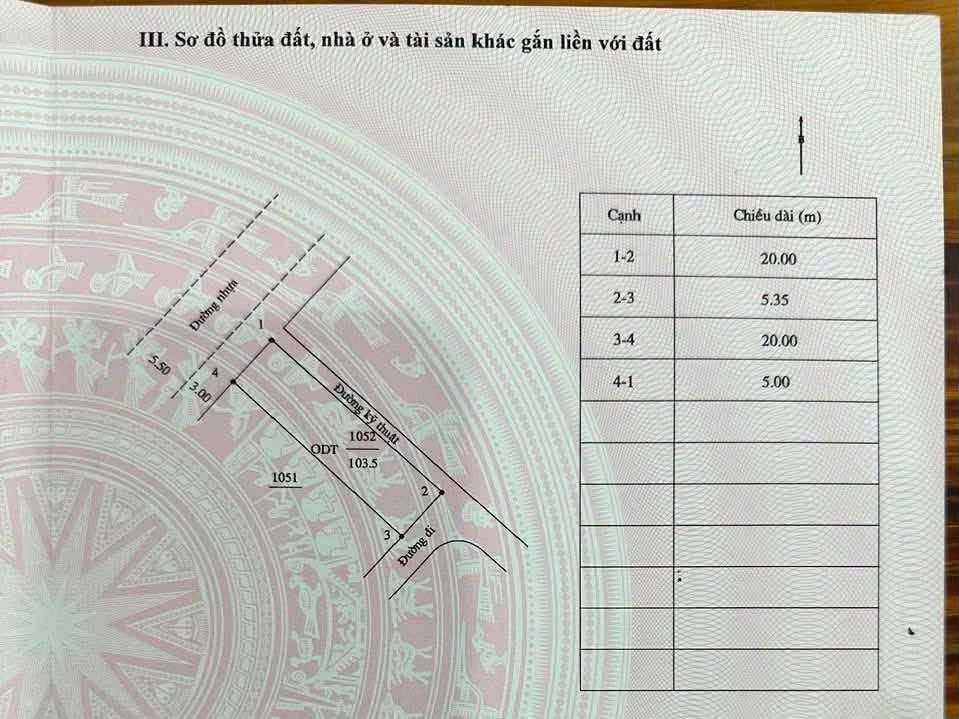 Bán đất Đường Số 3, KDC Phước Thạnh, Quảng Ngãi 100 m² - Ảnh thu nhỏ 3