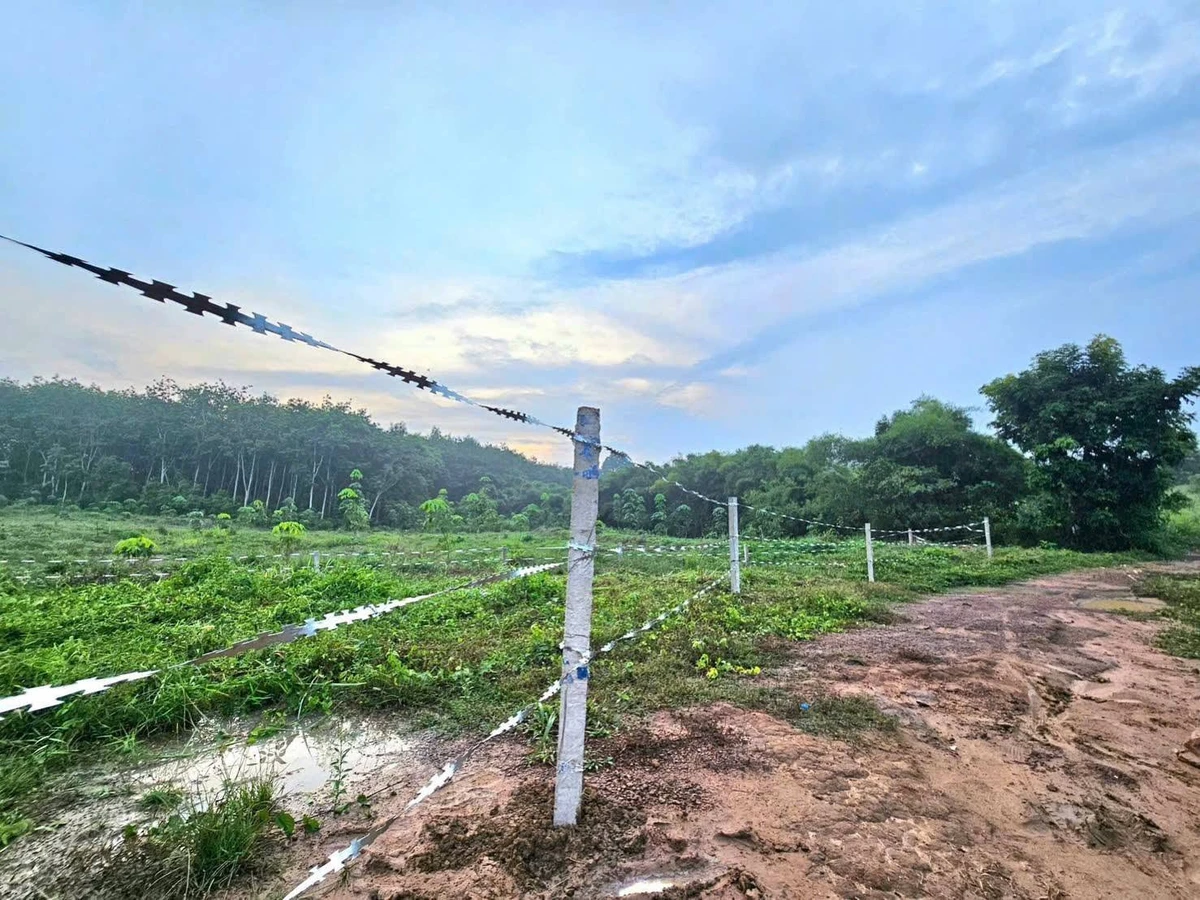 Bán đất thổ cư 100m² Tân Hưng Đồng Nai 90 triệu - Ảnh 1