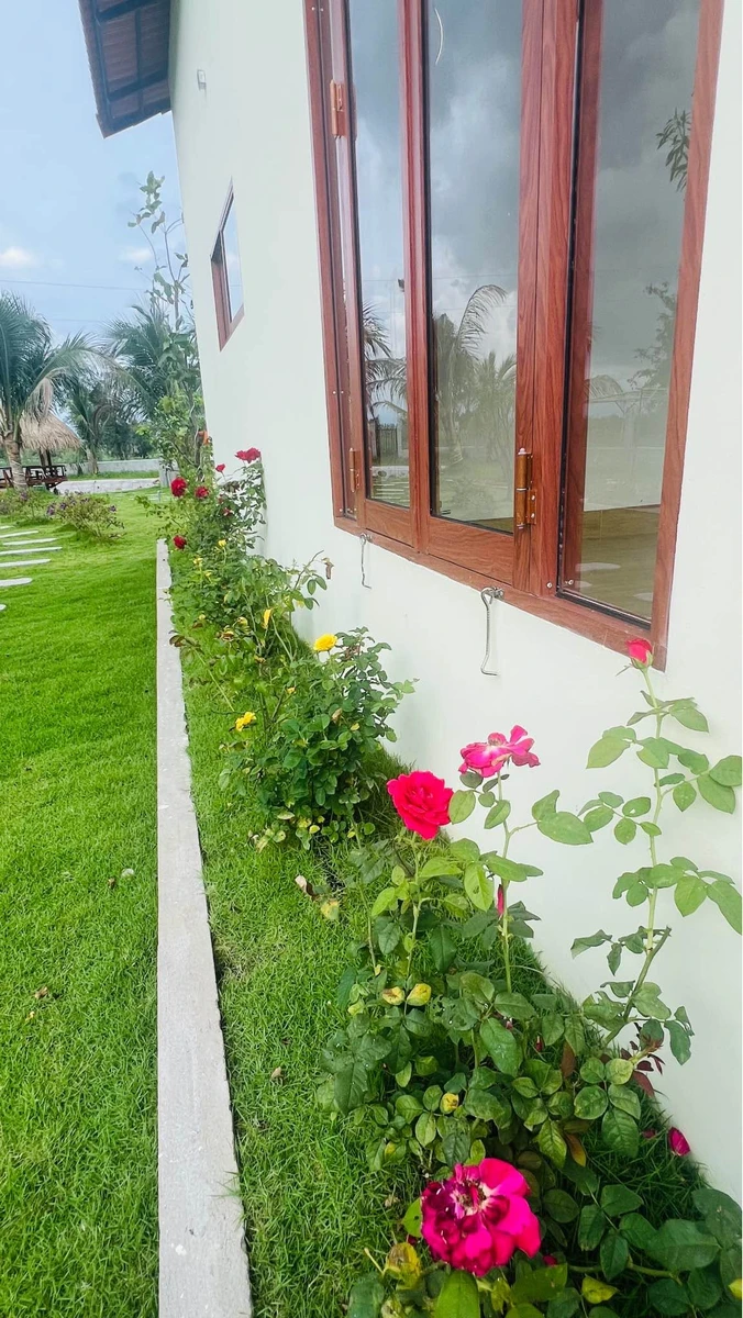 Bán vườn 1.600m² Hàm Chính Bình Thuận 1 tỷ 790 - Ảnh thu nhỏ 4