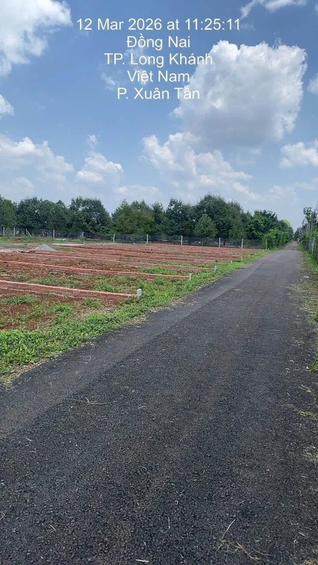 Bán nền 10x17m, 590 triệu, Long Khánh, Đồng Nai