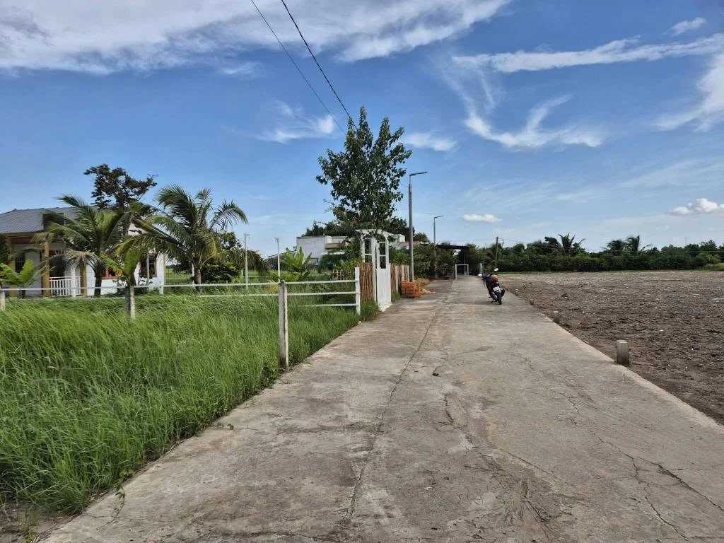 Bán đất thổ cư 608m2 tại Xã Tân Lân, Cần Đước - 1 tỷ 450 triệu - Ảnh thu nhỏ 2