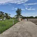 Bán đất thổ cư 608m2 tại Xã Tân Lân, Cần Đước - 1 tỷ 450 triệu - Ảnh thu nhỏ 2
