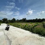 Bán đất thổ cư 5x30m đường Nguyễn Văn Khánh, Phường 7, TP Tân An, Long An - Ảnh thu nhỏ 2