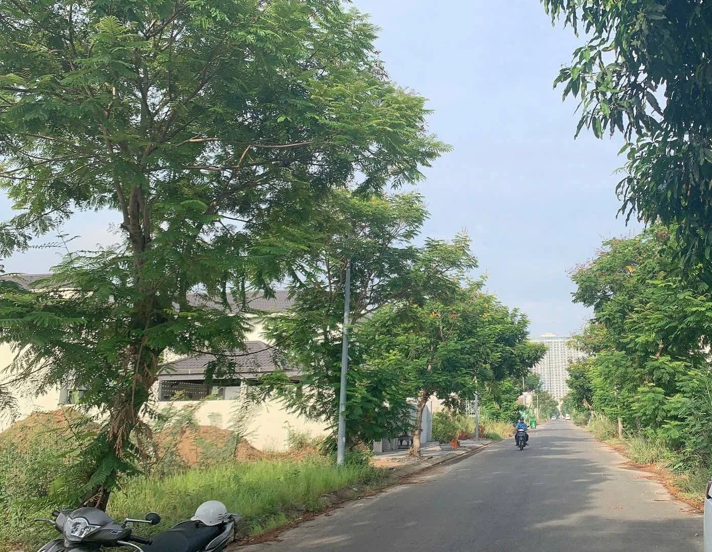 Bán đất mặt tiền Trần Sâm Sơn Trà Đà Nẵng 300m² giá 24,9 tỷ - Ảnh 1