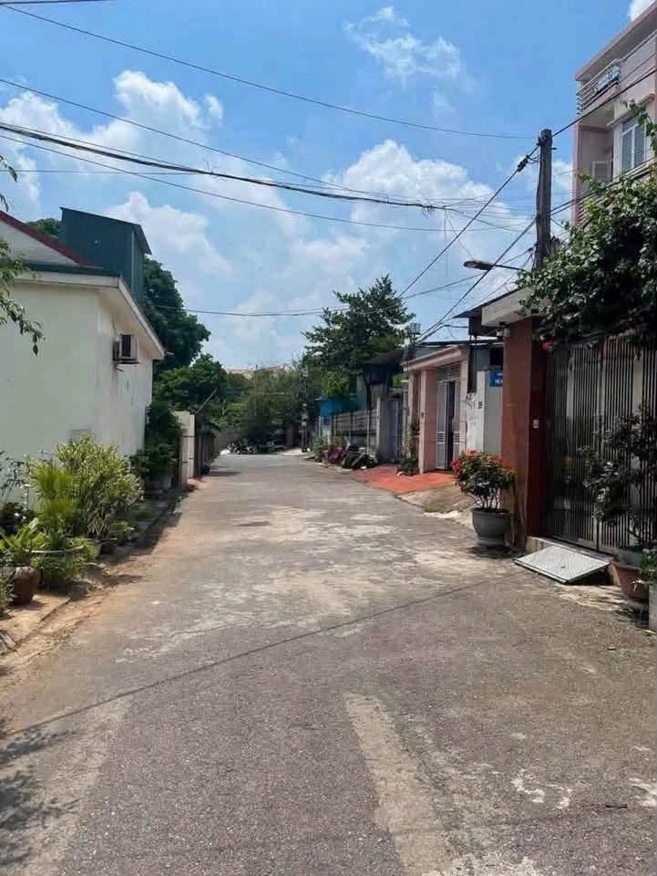 Bán lô góc 105.5m² cạnh Đô thị LICOGI, Hải Phòng - Ảnh thu nhỏ 3