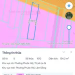 Bán lô đất mặt tiền Đinh Bộ Lĩnh, 125m², Lâm Đồng - Ảnh thu nhỏ 3
