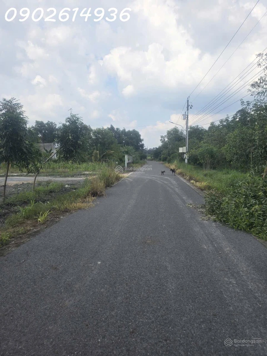 Bán đất đường Lò Rèn, Long Hòa, 24tỷ, 8000m2 view đẹp Hot! - Ảnh thu nhỏ 3