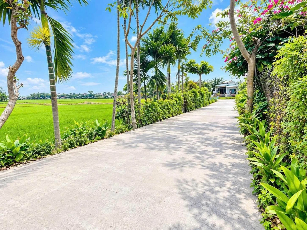 Bán đất nền Điện Bàn Tây 130m² full thổ cư 590 triệu - Ảnh thu nhỏ 2