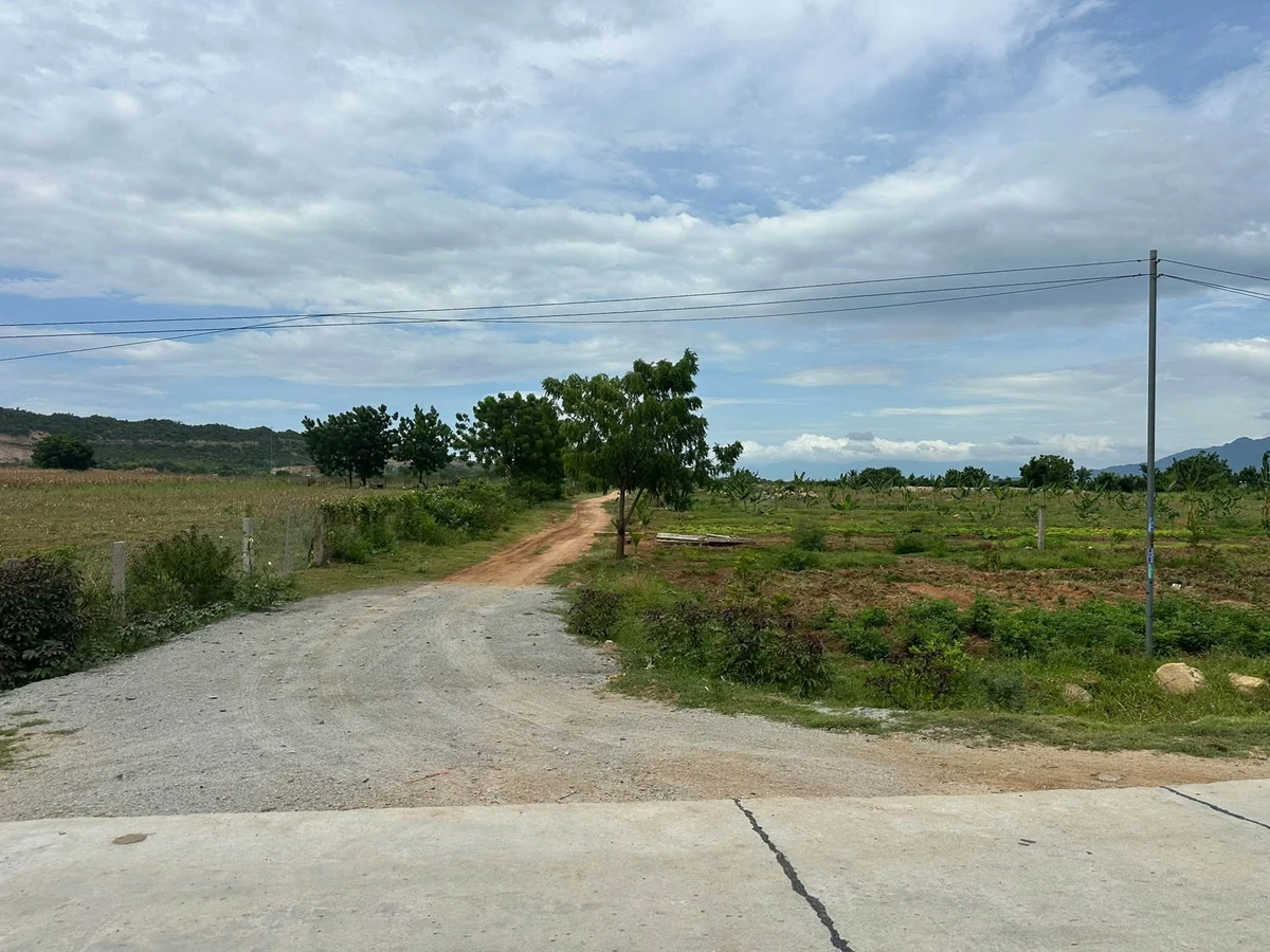 Bán đất vườn 1.000m² Đô Vinh Phan Rang 255 triệu - Ảnh thu nhỏ 2
