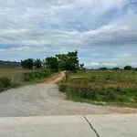 Bán đất vườn 1.000m² Đô Vinh Phan Rang 255 triệu - Ảnh thu nhỏ 2