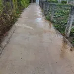 Bán 1200 m² đất vườn Tân Trạch Cần Dước Long An 1 tỷ 100 triệu - Ảnh thu nhỏ 2